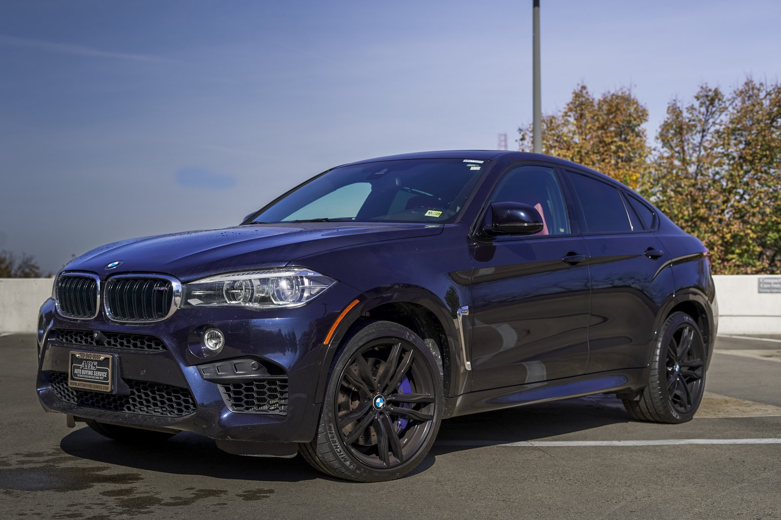 BMW X6M